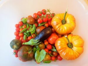 Légumes du potager