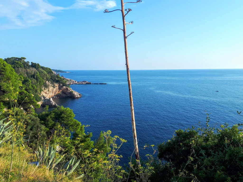 Vue sur l'Adriatique aux abords de Dubrovnik
