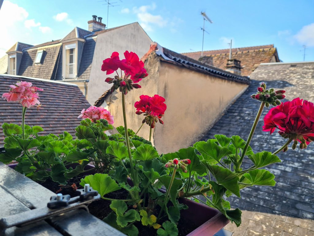 Vue sur les toits de Montargis