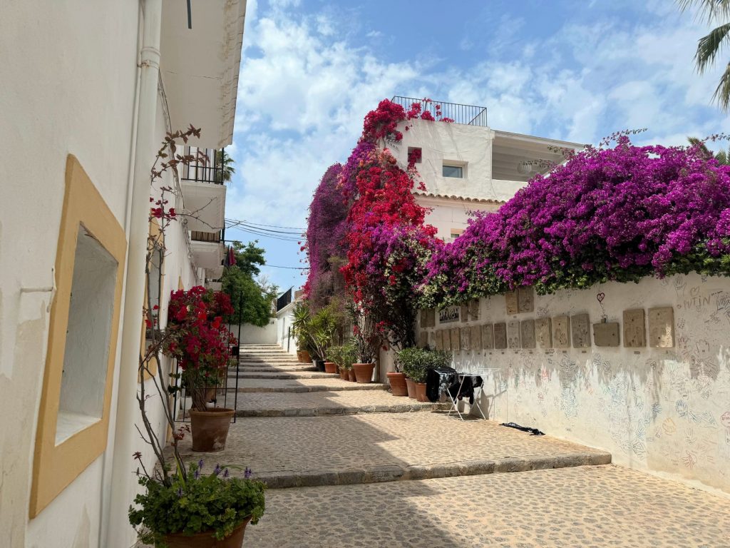 bougainvilliers Ibiza