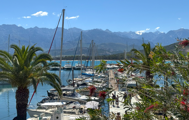 Visiter Calvi et son port 