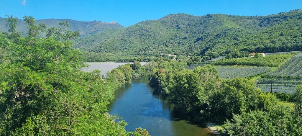 Paysage depuis le train corse