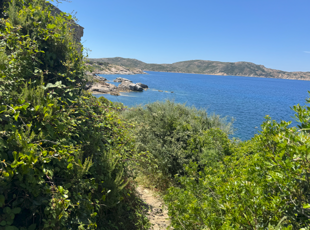 Sentier des douaniers à Calvi