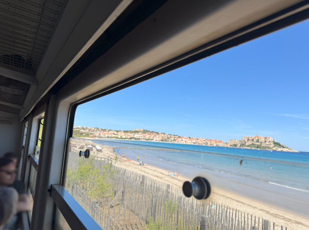 Vue depuis le train uTrinichellu