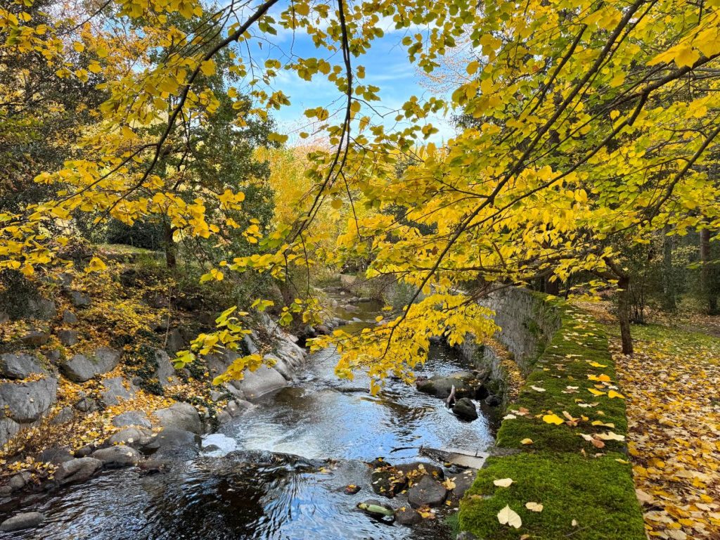 La Castellane dans le Parc du Grand Hôtel de Molitg