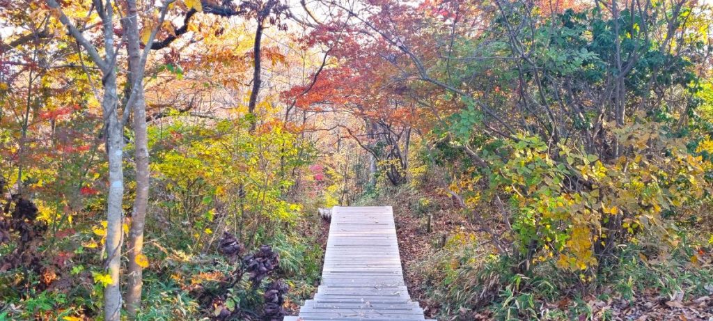 Sentier de randonnée au Mont Takao