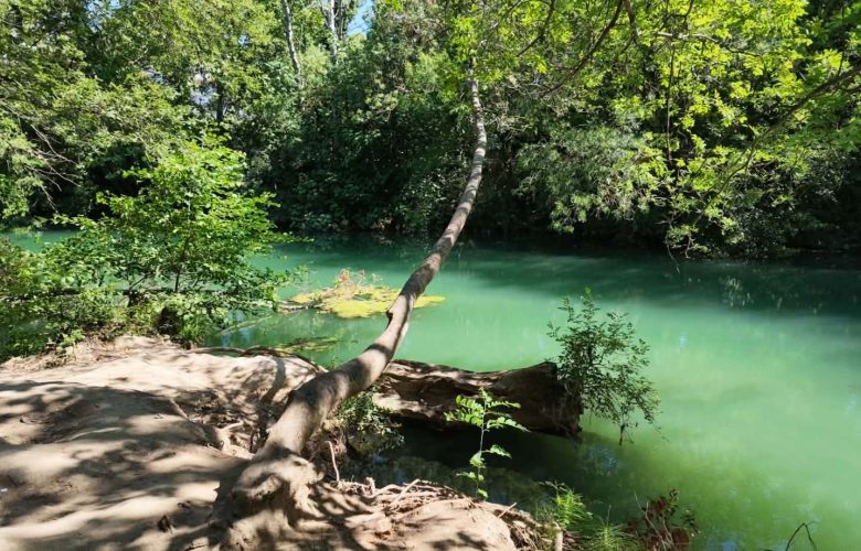 Le Lez Vert Montpellier