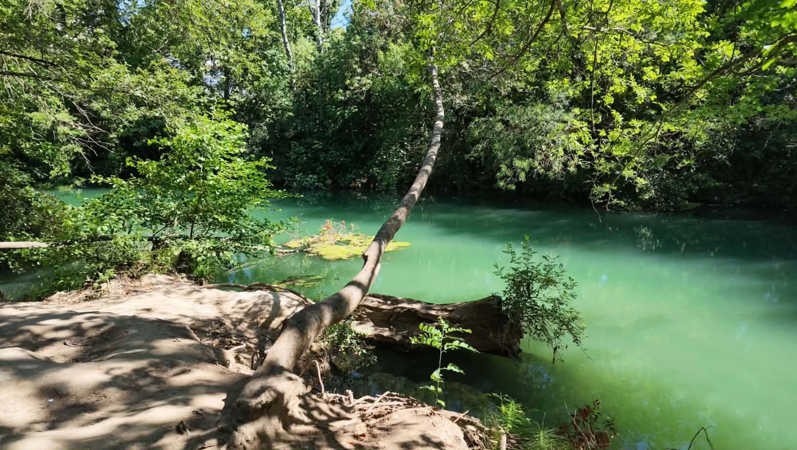 Le Lez Vert Montpellier