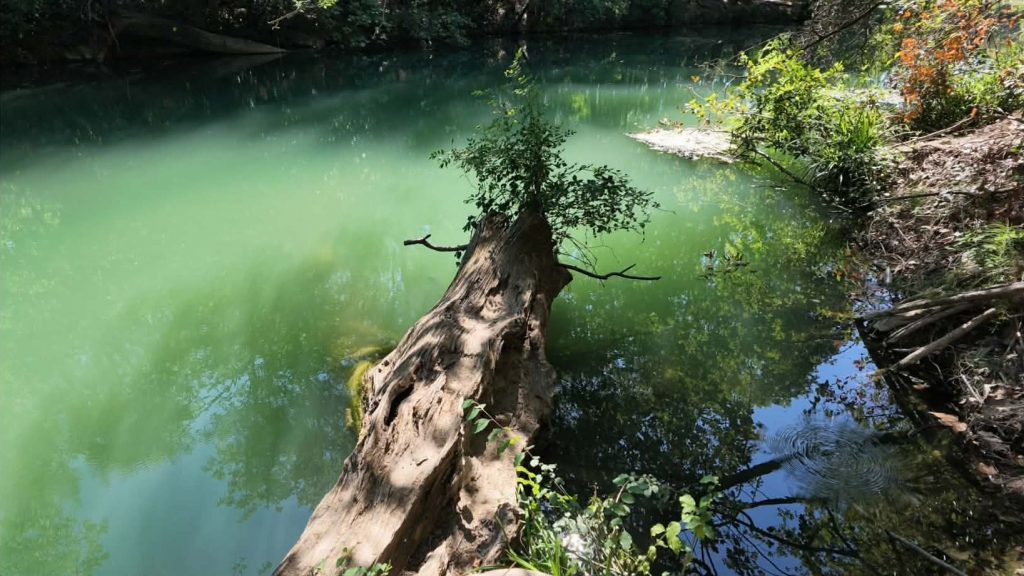 L'incroyable couleur du Lez Vert